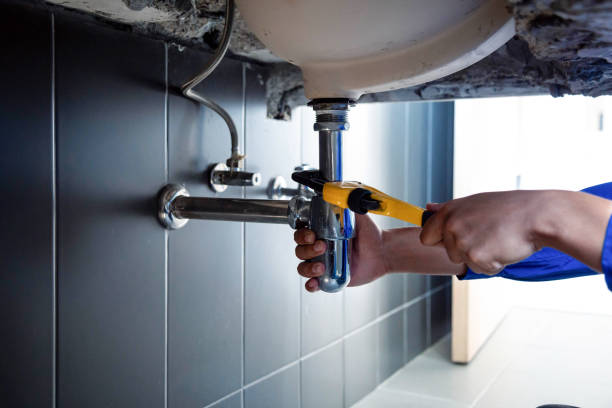 Professional Plumbing  in Renton, WA